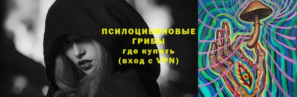 хмурый Липки