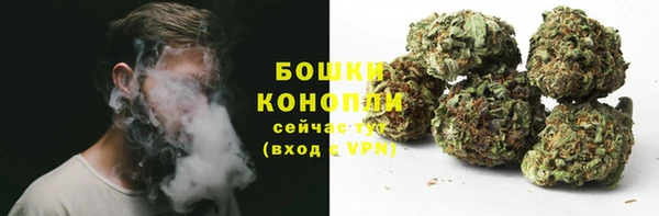 хмурый Липки