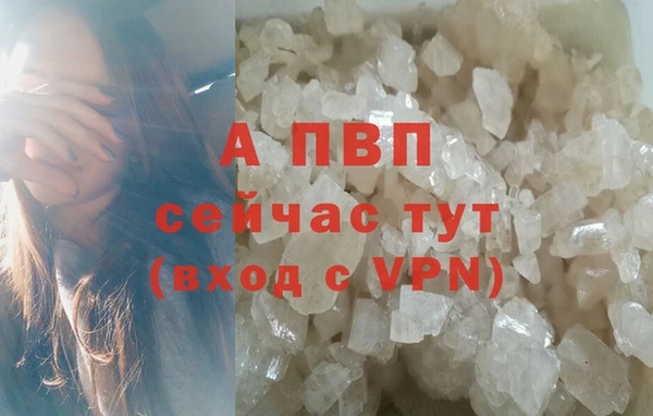 хмурый Липки