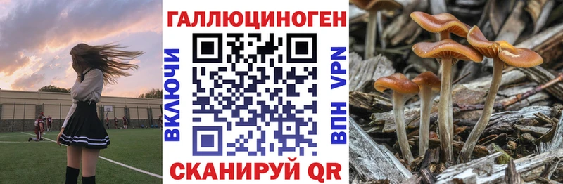 Псилоцибиновые грибы прущие грибы  Михайловск 