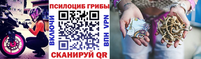 Псилоцибиновые грибы мицелий Михайловск